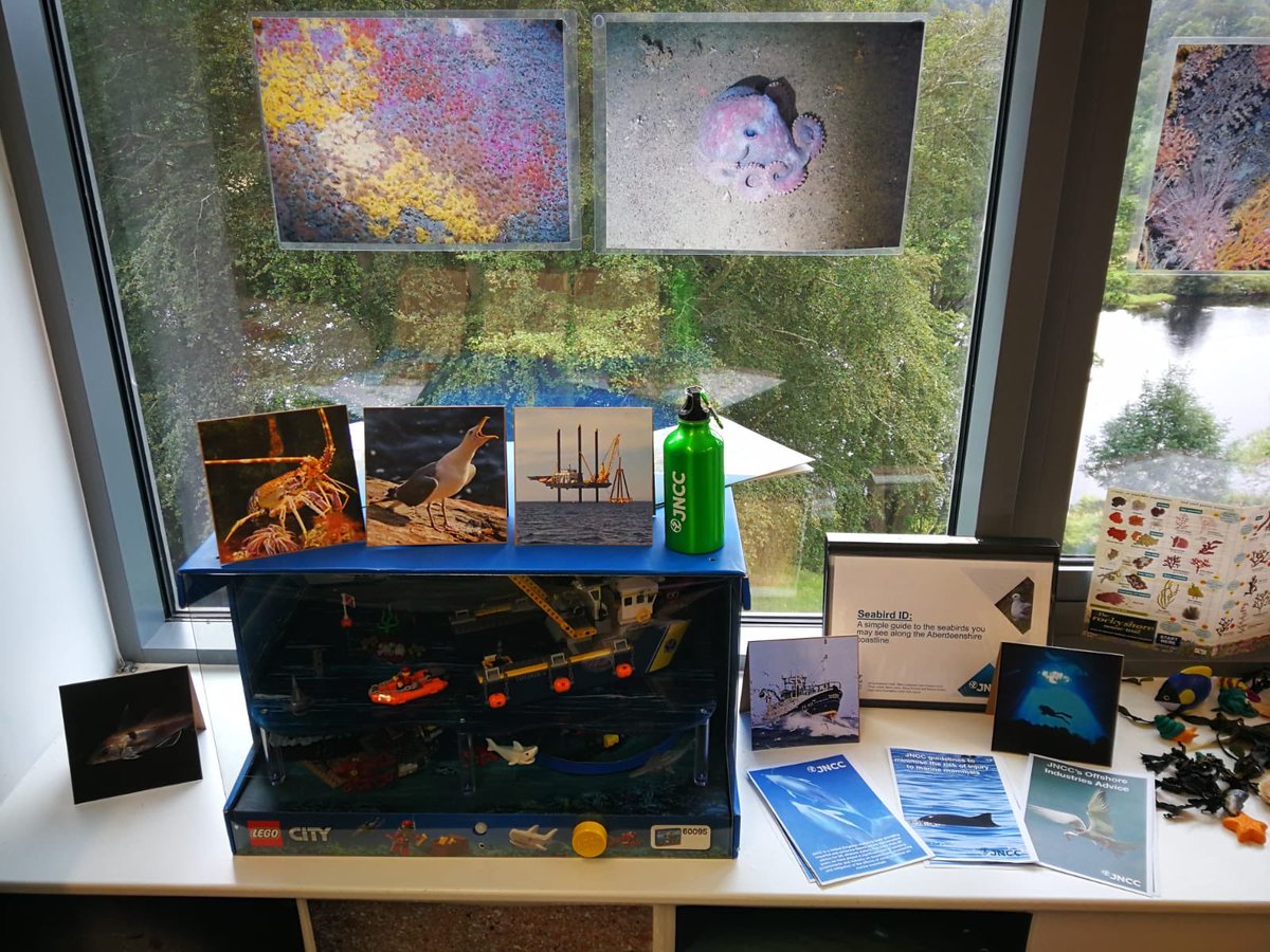 JNCC_UK's tweet photo. Our team are ready & raring to go at @TechFestNews @RobertGordonUni in #Aberdeen this weekend. Drop-in & say Hello, try your hand at #Ocean origami, join the JNCC pod, learn how to identify #seabirds & find out more about our work! ππ¬π¦π¦ππ #techfest #activityweekend https://t.co/hzohU55mBI