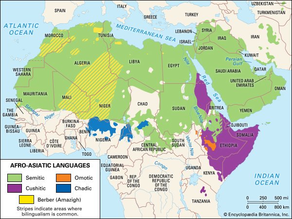 online the wto the internet and