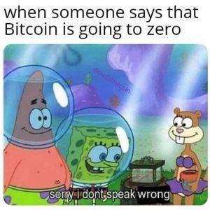 Cryptonews.com tweet media