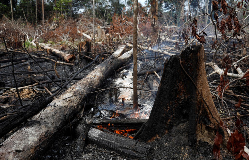 feedmenews_site's tweet photo. As Amazon fires rage Brazil tells diplomats to fix image https://t.co/RUZRBbytAp https://t.co/LfZurGgCnY