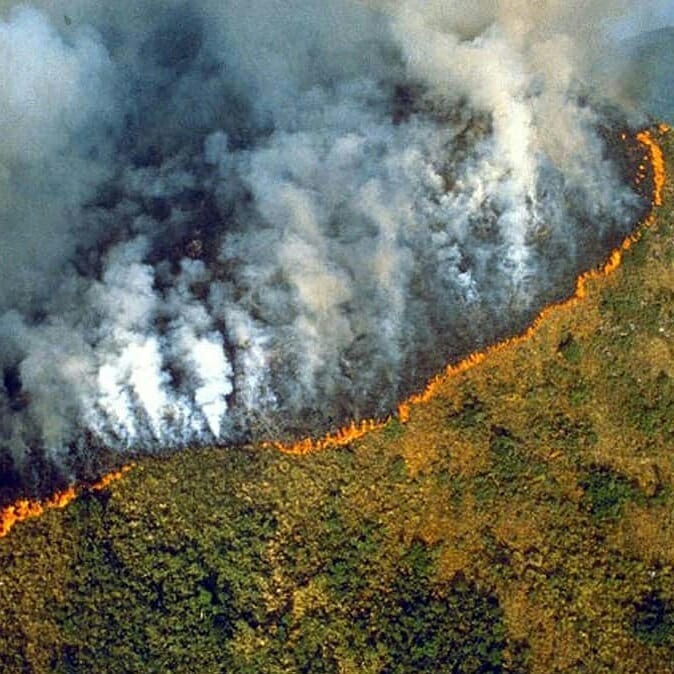 ChangeAgentSA's tweet photo. This has reached catastrophic levels. What have we allowed to happen while the world remained quiet? We need to raise our voice as a collective, our future depends on it. The loss of ecosystems, biodiversity &amp;climatic impacts of burning Amazon is irreversible #PrayForTheAmazon 🙏🏼 https://t.co/aMaPxIkNIH