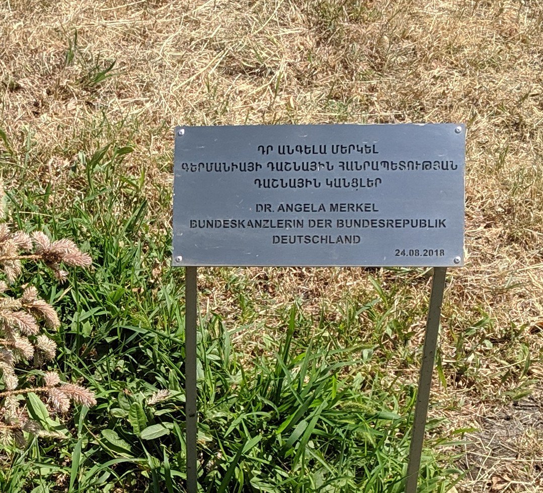 Blühende Landschaften, Frau Bundeskanzlerin...