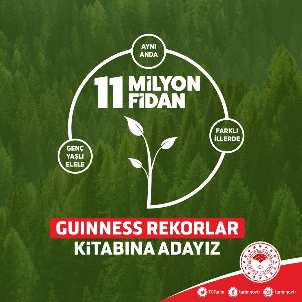 Saatlerinizi “11 Kasım Saat 11:11’e” ayarlayın...

81 ilimizde, genç yaşlı elele, aynı anda;

➡ 11 Milyon fidanı toprakla buluşturuyor,

✅ Guinness Rekorlar Kitabı’na aday oluyoruz.