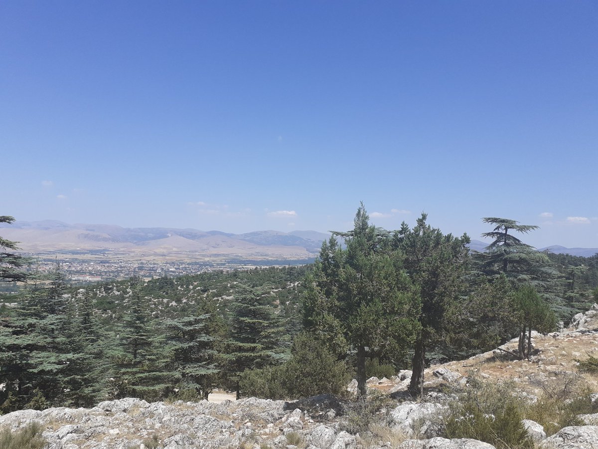 Bir mumun ardında bekleyen rüzgar
Işıksız ruhumu sallar da durur