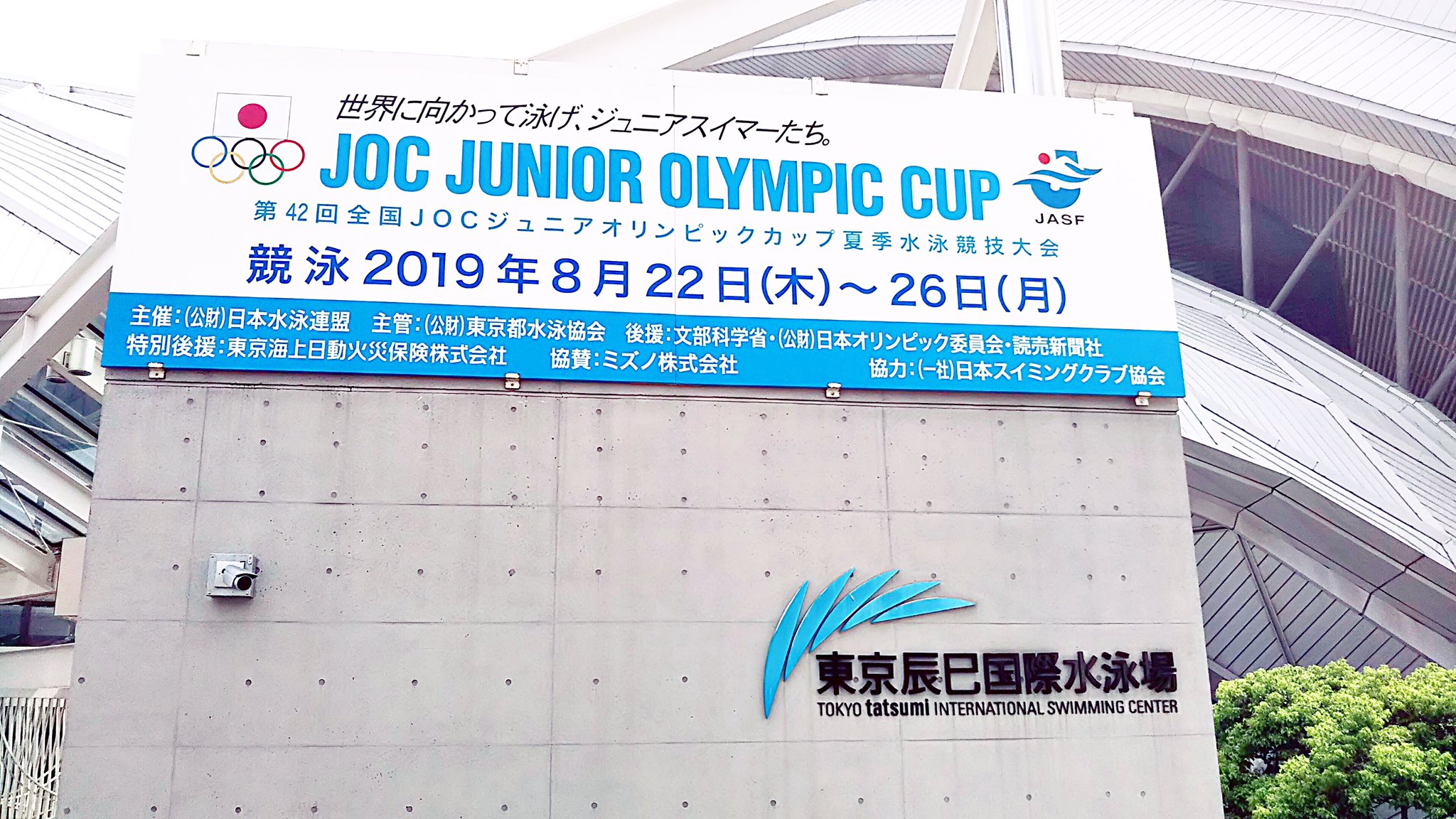 売りです 水泳 競泳 JO jo ジュニアオリンピック カップ 全国大会 joc
