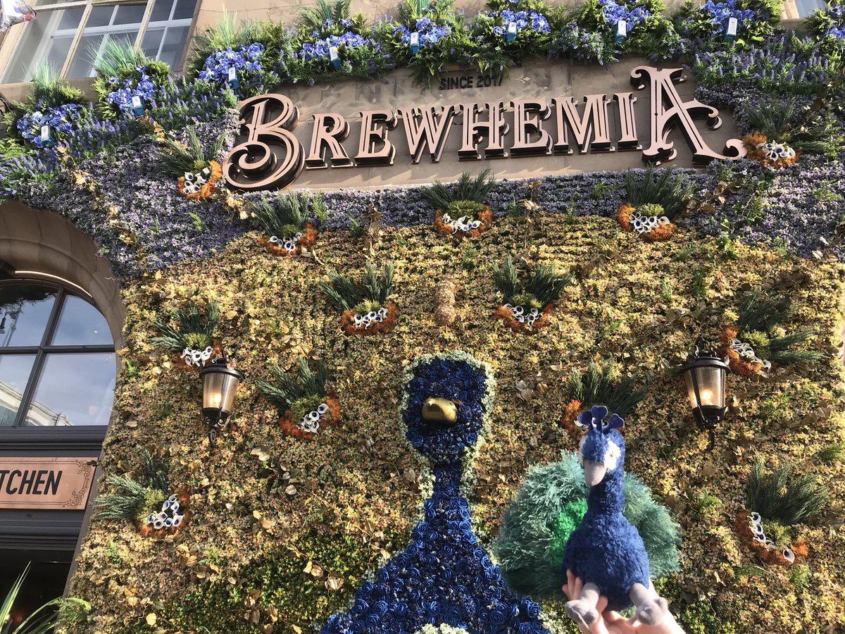 Perry_Peacock's tweet photo. #brewhemia @BrewhemiaEdin https://t.co/DI9vrt7cbQ