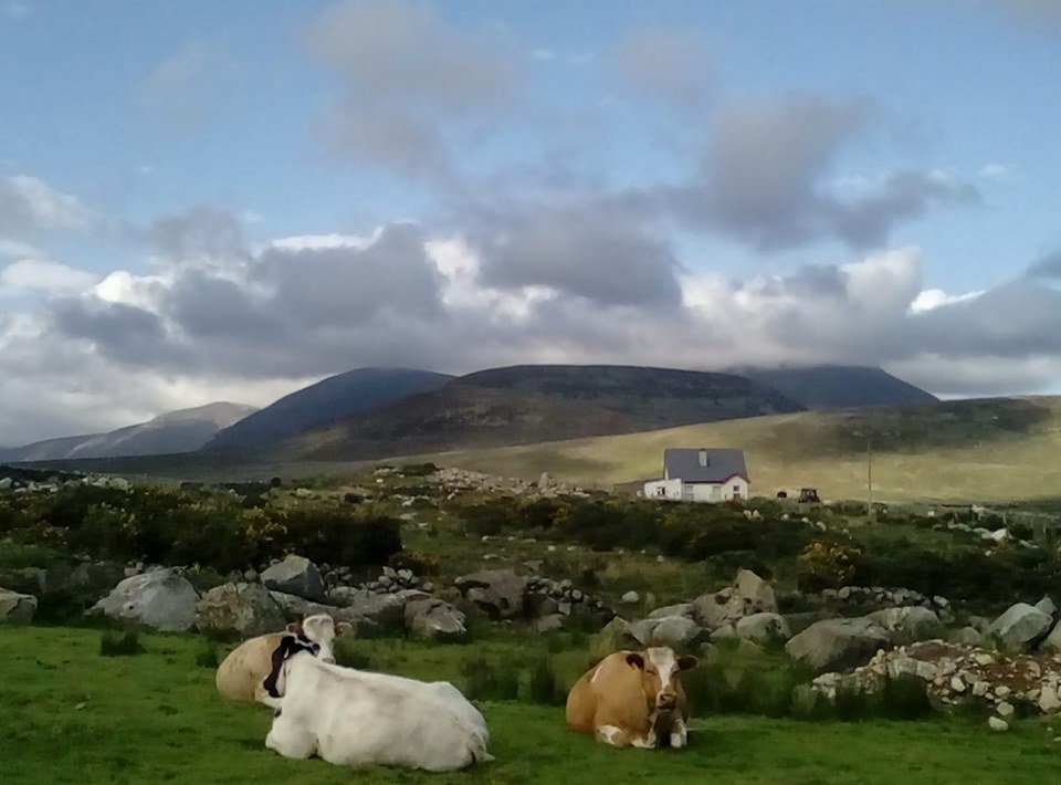 Beautiful Mourne Mountains, Co Down, N  #Ireland. Mournes are made up of 12 mountains with 15 peaks & include the famous Mourne wall (keeps sheep & cattle out of reservoir)! Area of Outstanding Natural Beauty. Partly  @NationalTrustNI. : Daniel Mcevoy (with lovely cat!)  #caturday