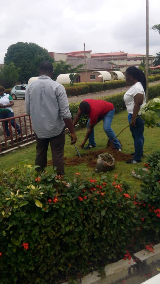 BenueGoGreen's tweet photo. The #BenueGoGreenCampaign team carrying out #TreePlanting exercise across Makurdi the state capital to mark the kick off of the #GreeningNigeria Campaign
#PlantATree
#BenueGoGreen
#OneBillionTreesforAfrica https://t.co/3qXhFl364x