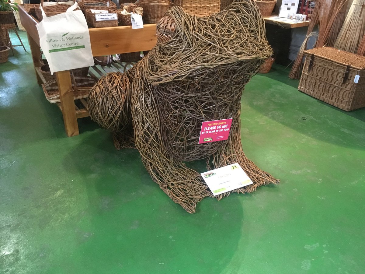 Thanks #TauntonToadTrail and <a href="/musgrove/">Mike Musgrove</a> park for new walking and running route inspiration. 57 miles over five trips out and I’ve found all 23 🐸 #doctorsactive. Top recommendation is to get a map and go find them (some move around so you’ll have to be quick!)