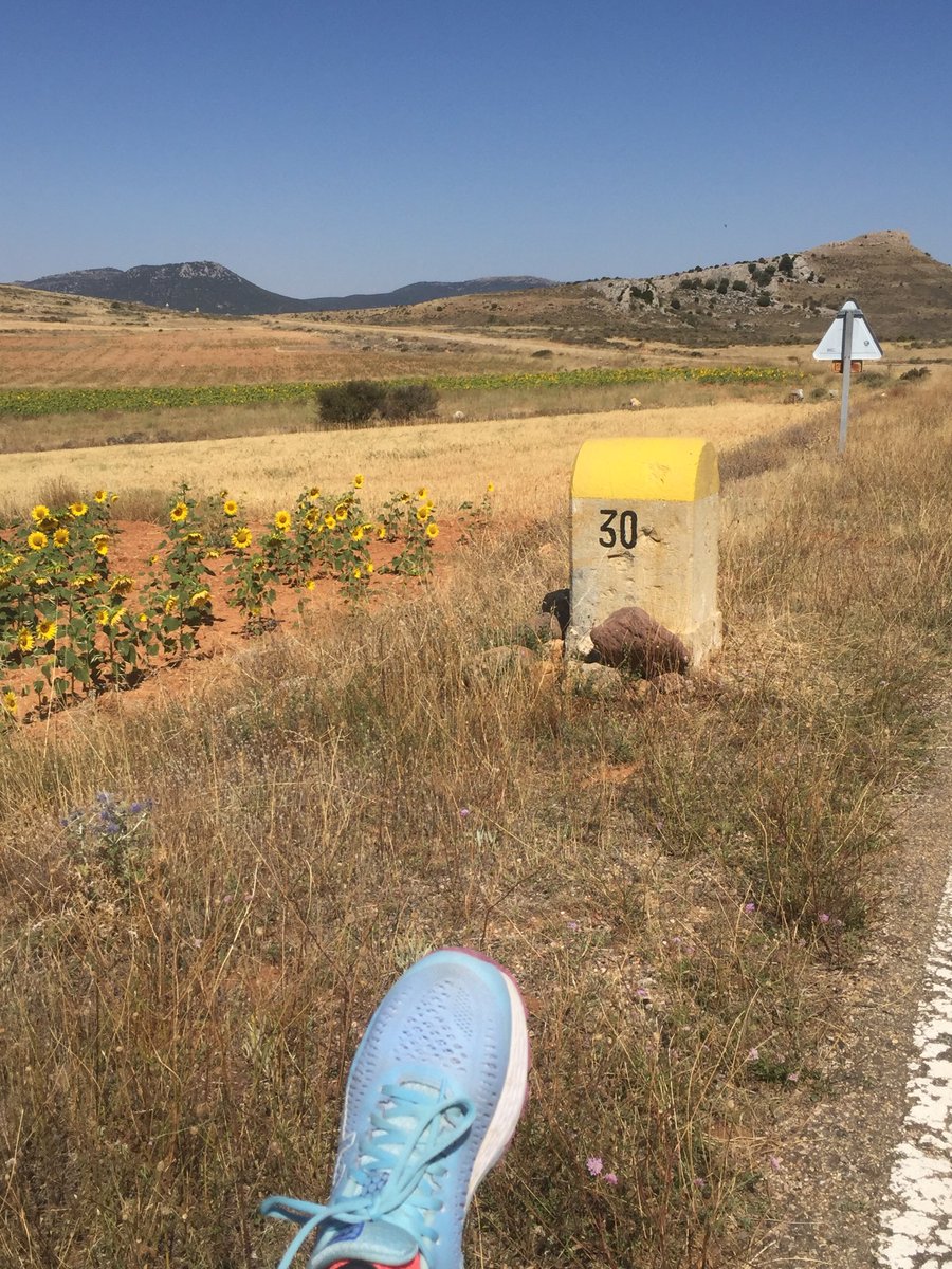 Pippipat's tweet photo. #Holidays #Sunflower #SportIsTherapy #Patpie #PatFoot #el30 #ArandaDeMoncayo #Aragon https://t.co/gU0XtlURgg