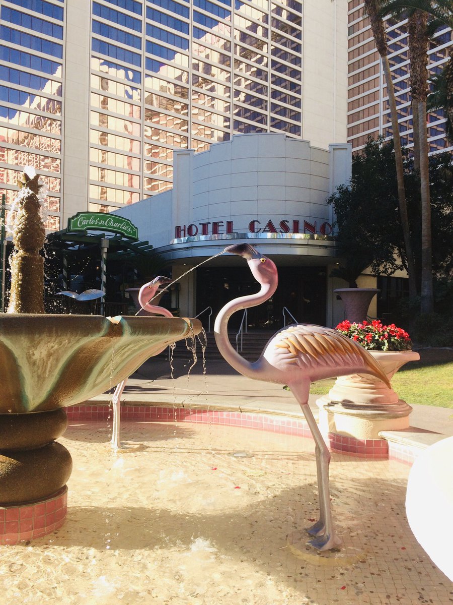 ラスベガスで一番好きなホテルはFlamingo Las Vegas。お値段お手頃でアクセス良好、中庭ではフラミンゴを飼育してるし売店にはフラミンゴグッズが山のように揃ってるよ! 