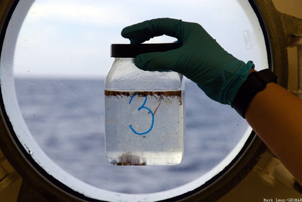 GEOMAR_de's tweet photo. Expedition #POS536 der #FS_POSEIDON untersucht aktuell die Herkunft, den Transport und den Verbleib von Plastikmüll in den subtropischen Konvergenzzonen rund um die #Azoren. https://t.co/FgSmAG65Aa