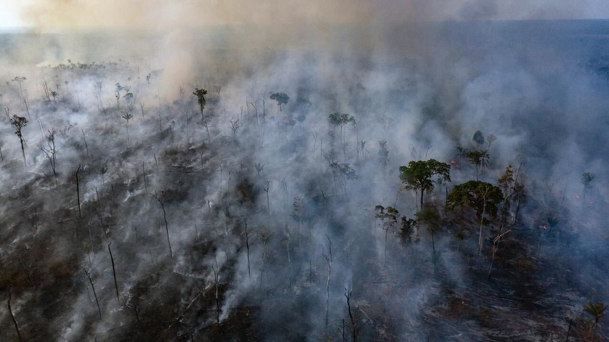 kuminaidoo's tweet photo. Amnesty has captured photos of the #AmazonFires still raging in Indigenous territories in Mato Grosso state. 

The forest is being burnt to a crisp. 

Make no mistake this is a human-induced disaster and it started because of a fundamental disregard for Indigenous rights. https://t.co/9MTjQN2qnn