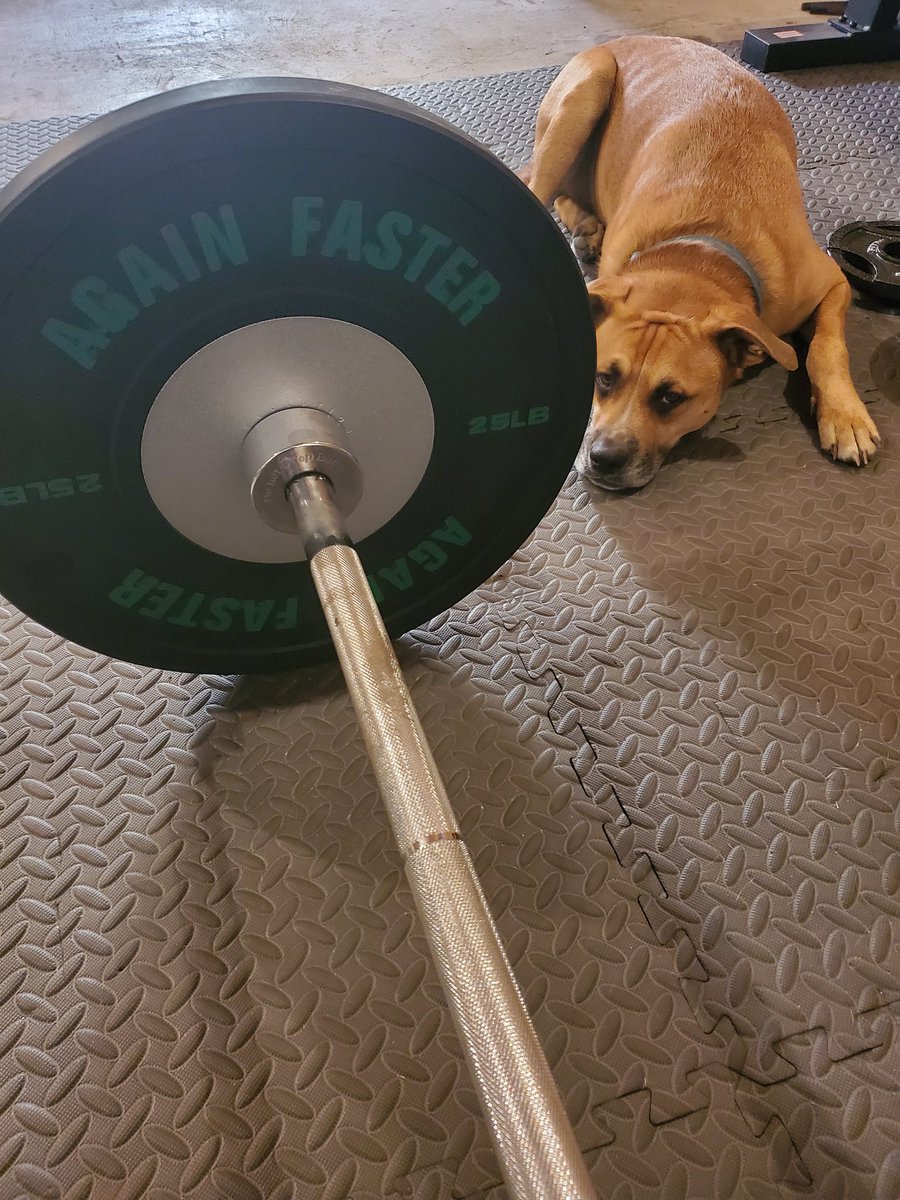 Some Saturday practice with Chipper, who's clearly unimpressed with my technique. 
Snatch complex 10 rounds -1 hang squat snatch - 2 overhead squat
Followed with a 2.5 mile run
#ATTRunningteam #dontleavemebehind <a href="/dawnmarcaccio/">Dawn Marcaccio</a>
@StephBlack12 @MikeWalshATT <a href="/MissSPants/">MissSassyPants</a> @dthach84