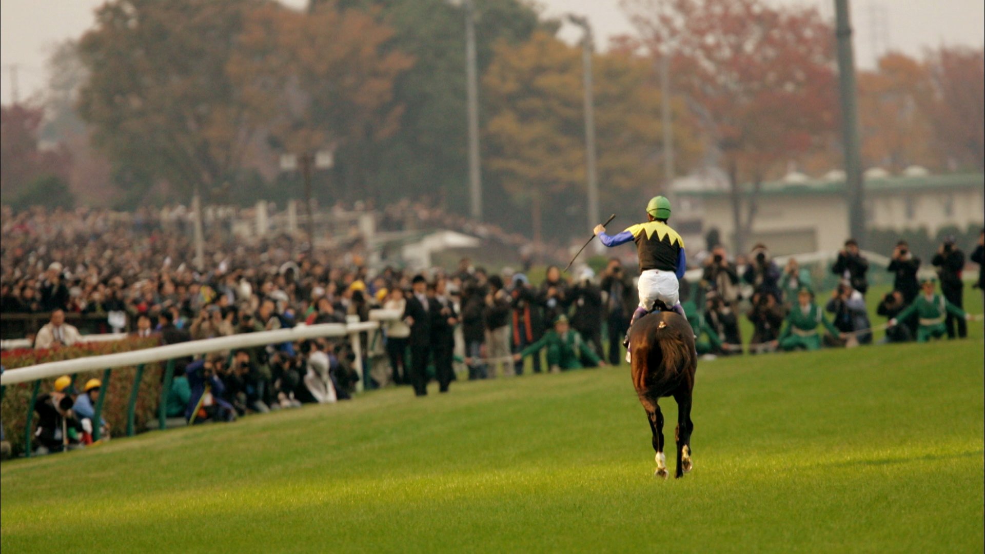 フジテレビ競馬 馬好王国プレゼント企画 週刊ギャロップ臨時増刊 追悼ディープインパクト を抽選で10名様にプレゼント 応募方法 フジテレビ競馬 Fujitvkeiba をフォロー このツイートをrt 締め切りは8月30日 金 24時 フジテレビ 馬