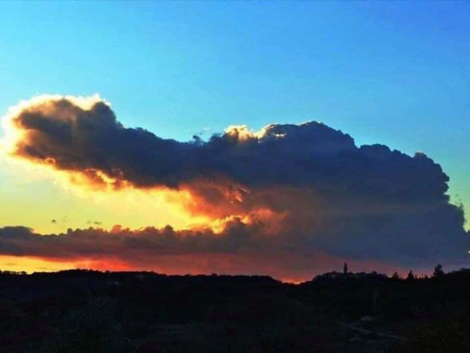 Game day baby, Gators gonna eat!