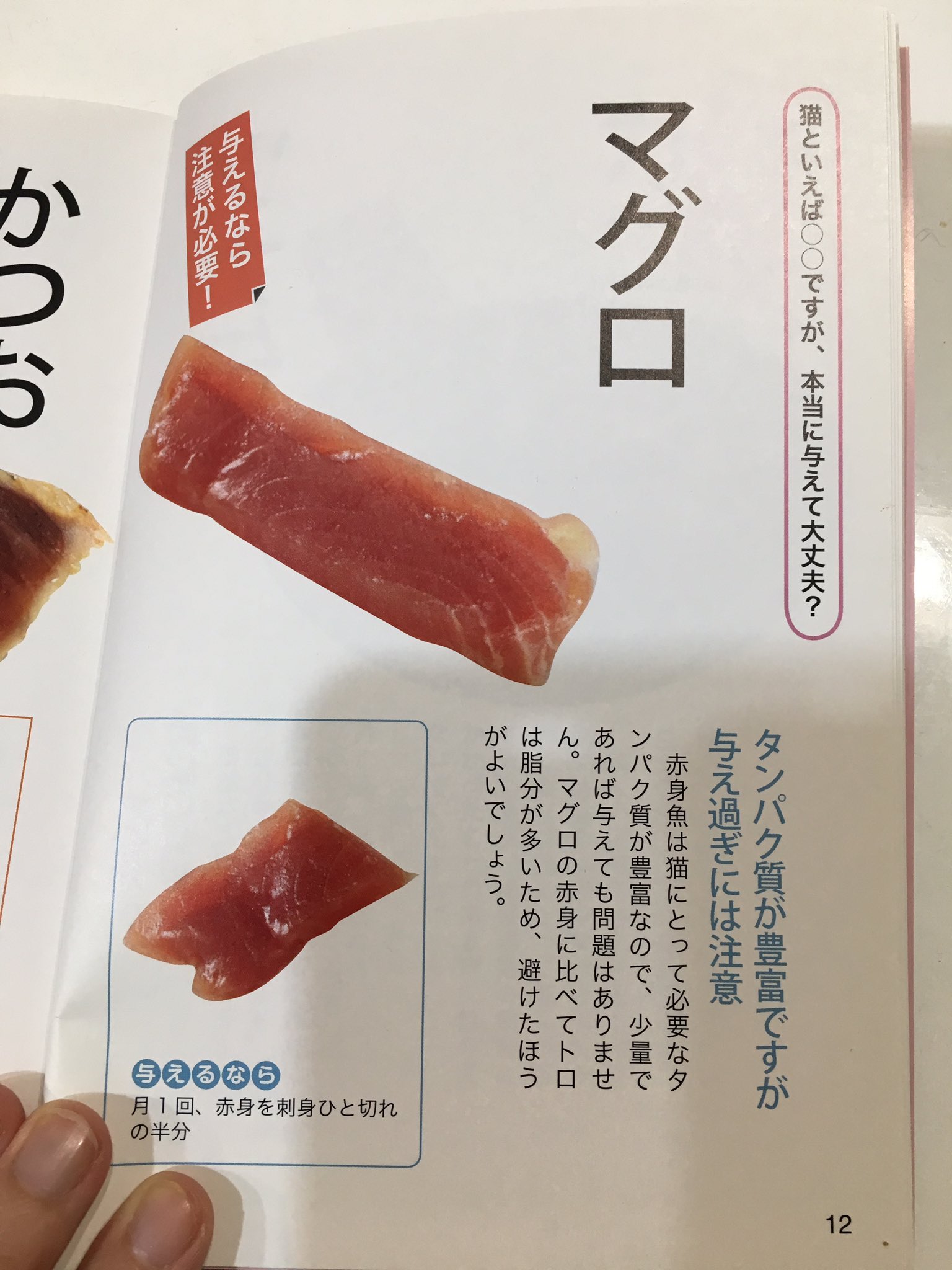 ミロルナ ボブコ 大トロ選手権 番組としてジャンプ力や 垂直登り 子猫に分け与える母猫が見られるのはとても楽しいのだけど 猫の胃には負担すぎると思うんだ もう少し体に良いものでお願いします 量が多すぎて心配になるよ ドッキリgp