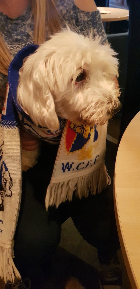 anthony_corf's tweet image. #keepthefaith #comeoncity #bbcredbutton #bbcfootball #FACup   @WorcesterCityFc