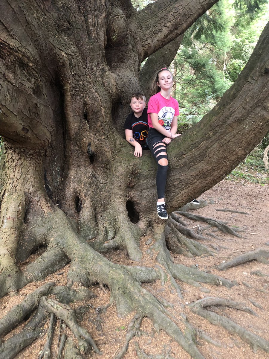 JennyKeaneNHS's tweet photo. #castlewellancastle #AHPactive - lots of steps https://t.co/2LlZg0hbB1