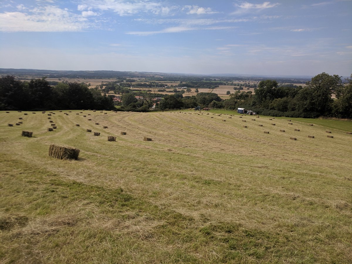 Helen92523's tweet photo. Very welcome break from thesis writing.... 😃😃 #haytimeplaytime #bestviewintheworld #home https://t.co/ZmGY3TAr4k