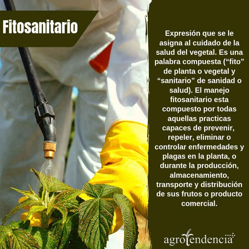 MagnojetM's tweet photo. La importancia del conocimiento sobre lo que se dice....vía @agrotendencia #Bpaf #magnojet #rutadelacalidad #proasa. https://t.co/GTHL4aESOp