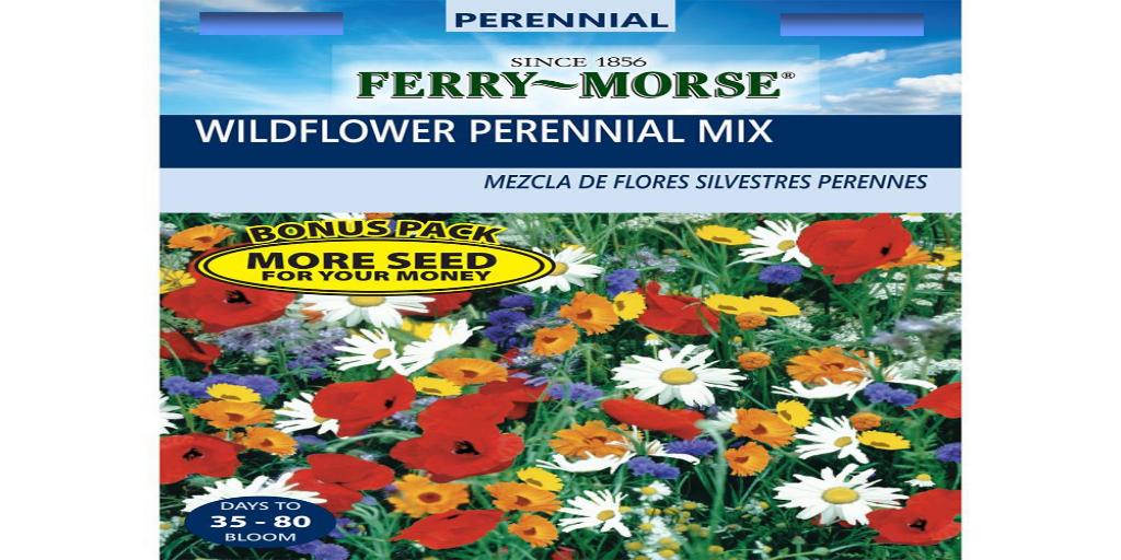 #Donate a pack a seeds if you can Guys Cliffe Coventry Road Warwick CV34 5YD  volunteersguyscliffe@bt.com