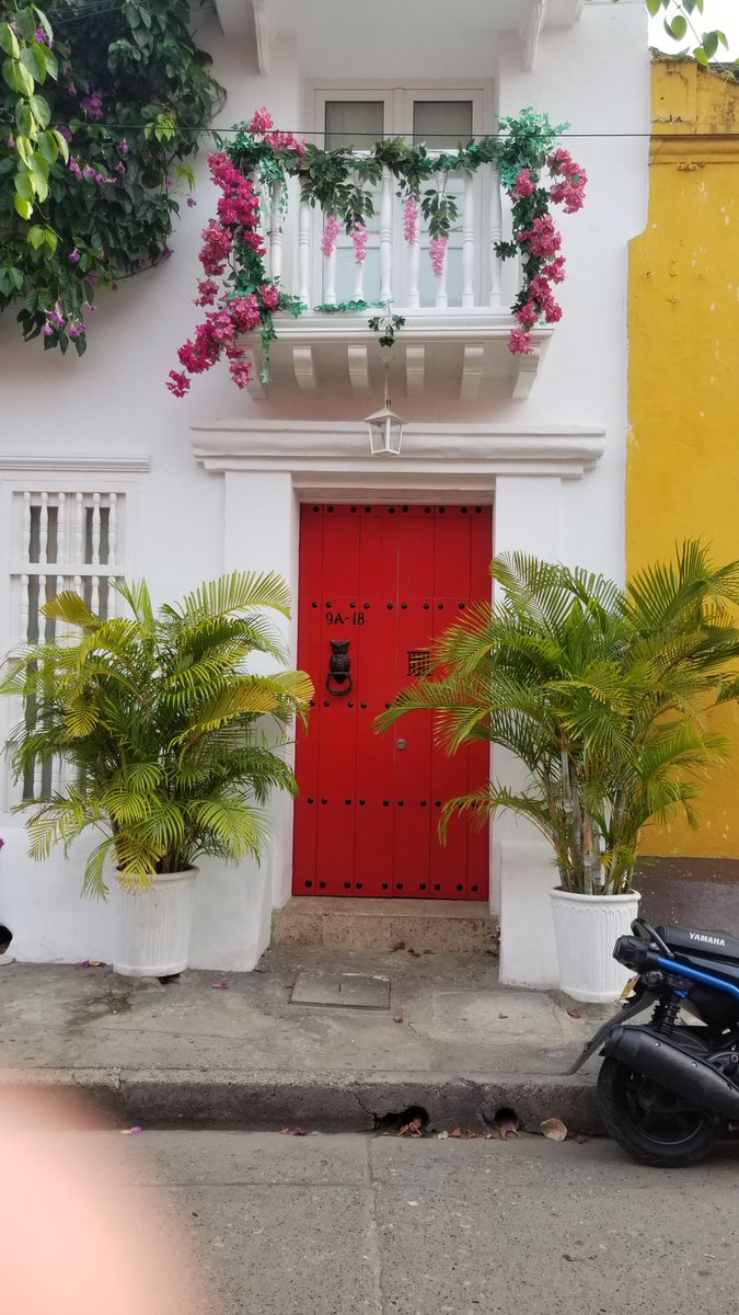 Hostel_Traveler's tweet photo. Beautiful Cartagena. Visit the Colonial city by the Sea and enjoy its delights. Cartagena Colombia #IWBmob #colombianhostels #hostels #travel #ecoturismo #hostellife #colombiaespasion #viajeras #colombiatravel #travelcolombia #colombianblogger #viajeros
https://t.co/vRCHF0Yxxh https://t.co/xZPTXptcUg