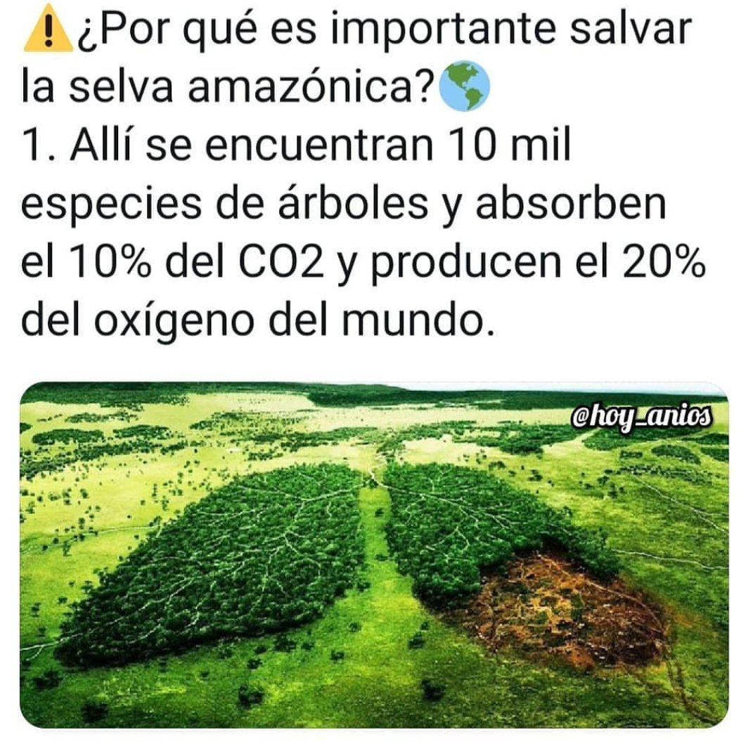 alejandrameco's tweet photo. "Sólo después que el último árbol haya sido cortado. Sólo después que el último río haya sido envenenado y sólo después que el último pez haya sido atrapado. Sólo entonces nos daremos cuenta que no se puede comer el dinero" #PrayforAmazonas https://t.co/mZZzfYZlnN
