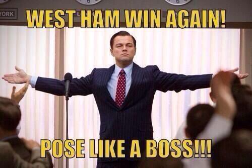 dovblad's tweet image. 