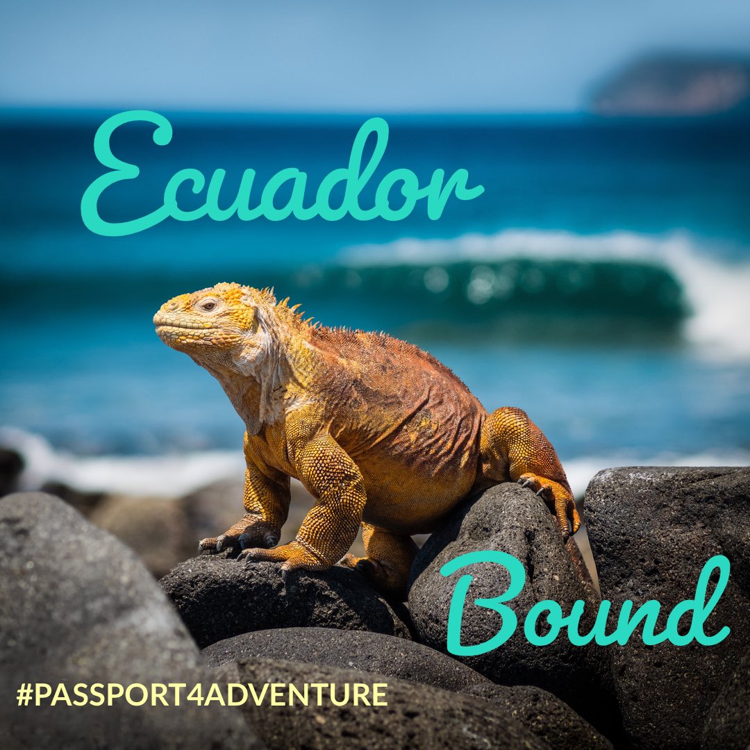 travelmaci's tweet photo. So excited to be embarking on a educational journey of Ecuador with @signaturetvlnet  and @MetroTouring ! We look forward to sharing the trip with you! Let the adventure begin! #passport4adventure #mtmoments #sigsocial #adventuretravel #Ecuador #galapagos #traveladvisor https://t.co/6gAXBQQziV