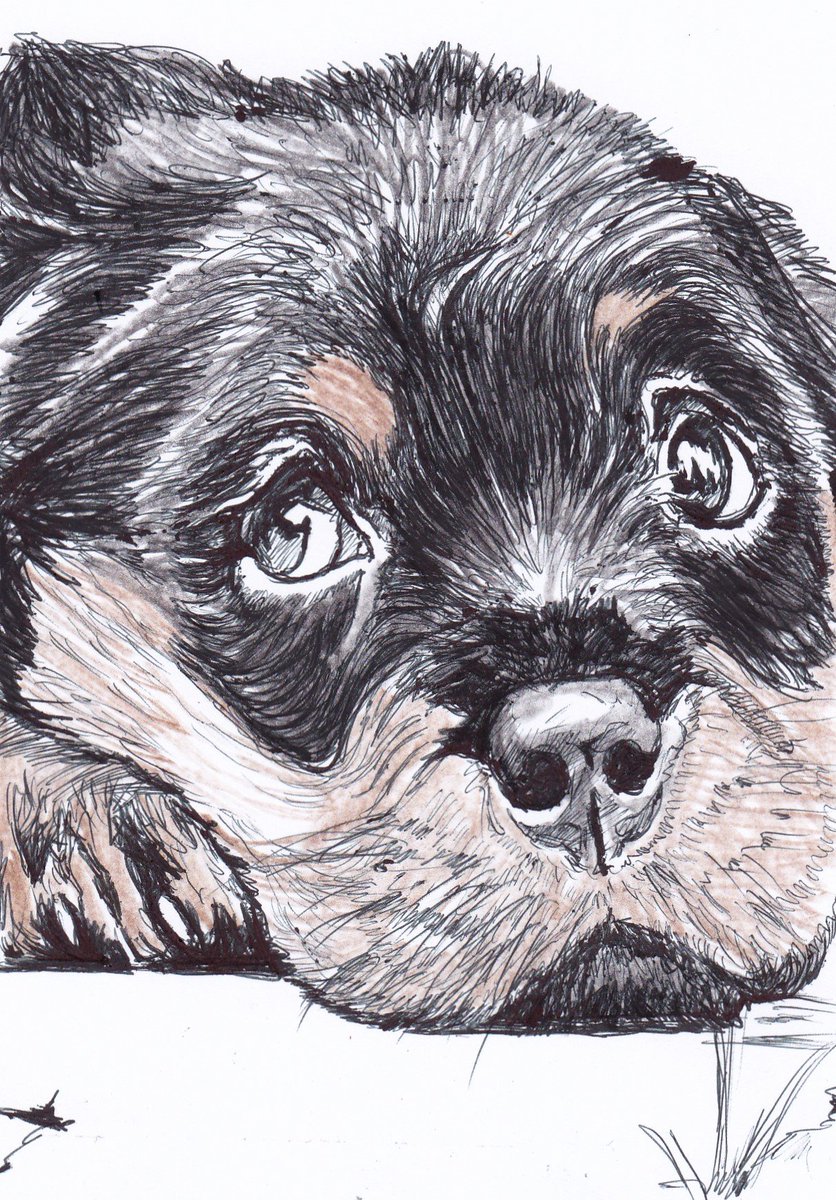 the_great_days's tweet image. un #Chien #soucieux 
#G7France #G7EZ #GalaxyNote10 et #GiletsJaunes 
#Brasil #AmazonFires #AmazonEcho 
#Hongkongprotest #NorthEast #NorthKorea 
#Japon #fukushima #radioactivity #sea 
#BiarritzG7 #G7Biarritz pour #rien ?