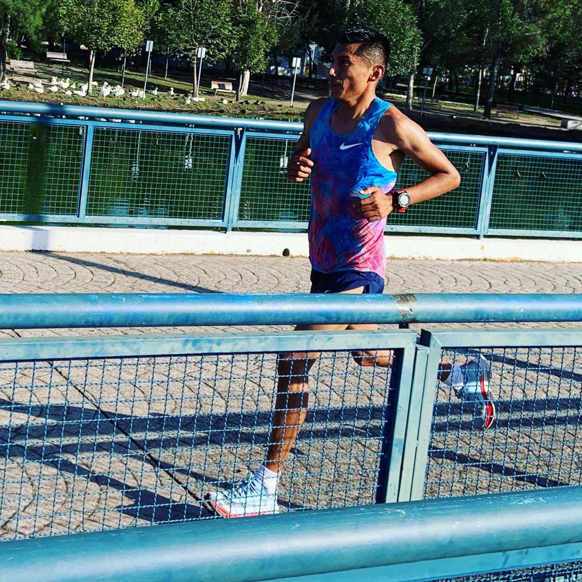 RunningPerro's tweet photo. *De esos días que te levantas con un no sé qué jajaja 🤣 pero terminas haciendo un entrenamiento divertido, disfrutando cada kilómetro*

Exito a todos los corredores  en el Maratón Ciudad de México.

  #nikemexico #runnersdog #saborfitpuebla
#fisioterapiabyemmanuel #cocotabe https://t.co/ko5mj72jjV