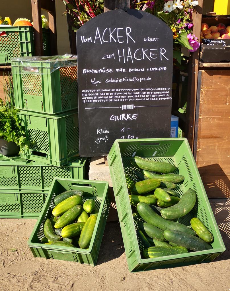 Schild eines Biogemüsehändlers vorm Campgelände mit der Aufschrift. 'Vom ACKER direkt zum HACKER'
