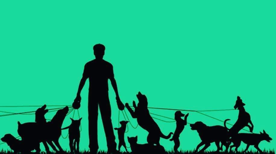 ushmoore's tweet image. Hi there, I’m a Veterinary Doctor. Also deal on Pet Sales, Boarding, Adoption, Gromming, Pet Food, Supplement, Accessories, Fumigation...

Our store is at Shop 22, Powa Road, Opp M.K.O Abiola Gardens. Alausa, Ikeja Lagos. 

Please help Retweet my Customers are on your Timeline🙏🏽