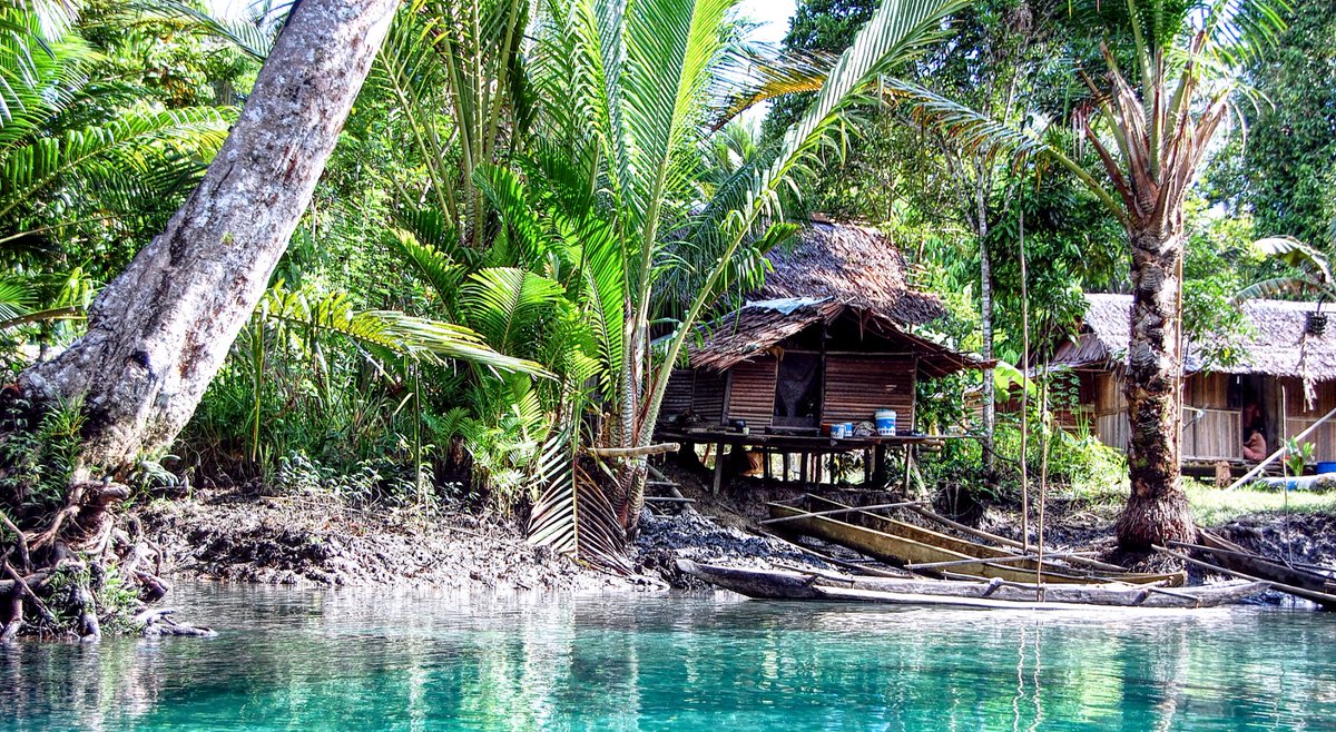OmRiRodriguez's tweet photo. Klaogin Village in Teminabuan Sorong West Papua

#naturelovers 
#enjoynature
#travel 
#photography
#Papuansphoto https://t.co/SI4i2UnMBH