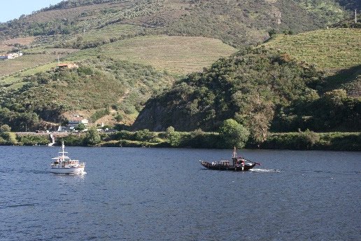 WINE CLUB ALERT!

This Sunday, August 25th we are releasing our latest summer edition wine club! Featuring wines from the Iberian peninsula with the influential factor of a famous fresh-water river, the Duero-Douro. 

See you soon! #grandcatalife