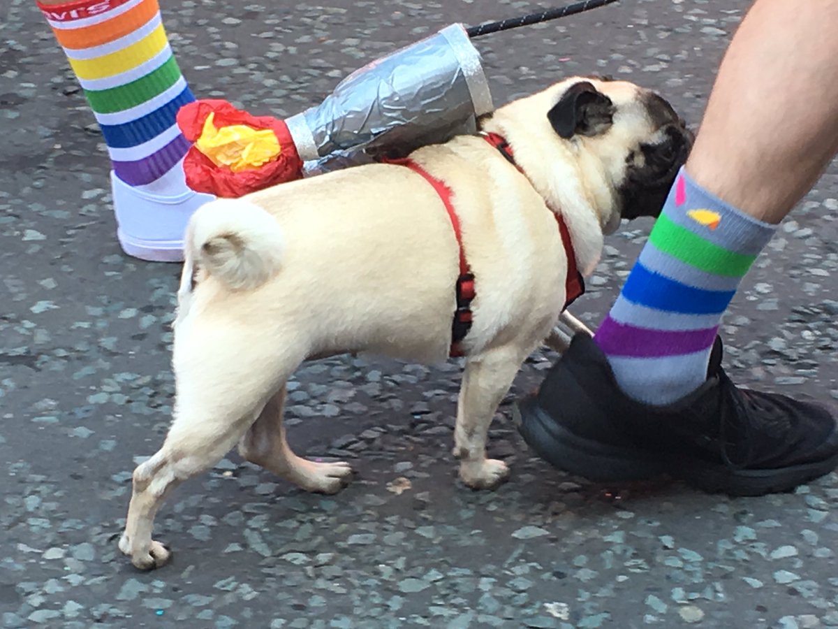 Nicola Nuttall tweet media