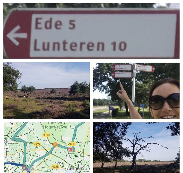 Powerwalkschool's tweet photo. We hebben er weer een Official Zession Powerwalk Trainer bij! #lunteren en #ede... zet je gympen maar klaar #opleiding #zession #powerwalkschool Wil je ook Powerwalk Trainer worden? Doe mee met de infosessie via deze link: https://t.co/L18FKJfLaz https://t.co/K4hXnq5Qzz