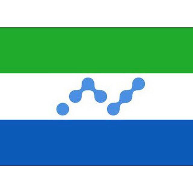 NanoSL1's tweet photo. NanoSL Logo is up https://t.co/Bkejbnf0Z8