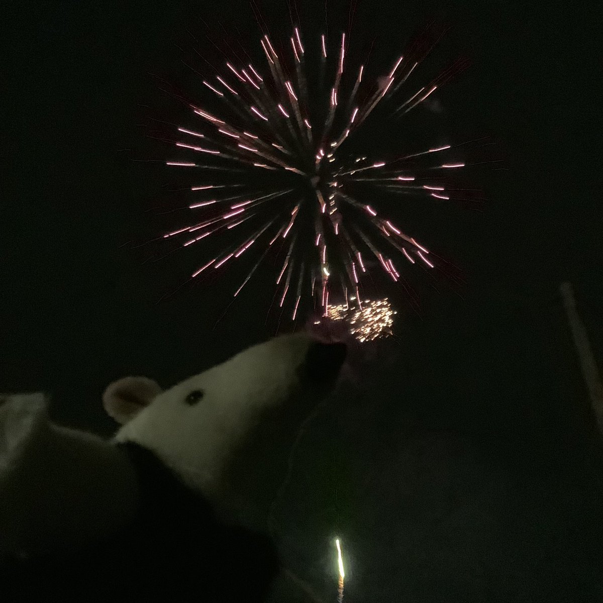 夏の終わりの花火
綺麗でした!(・∀・) 