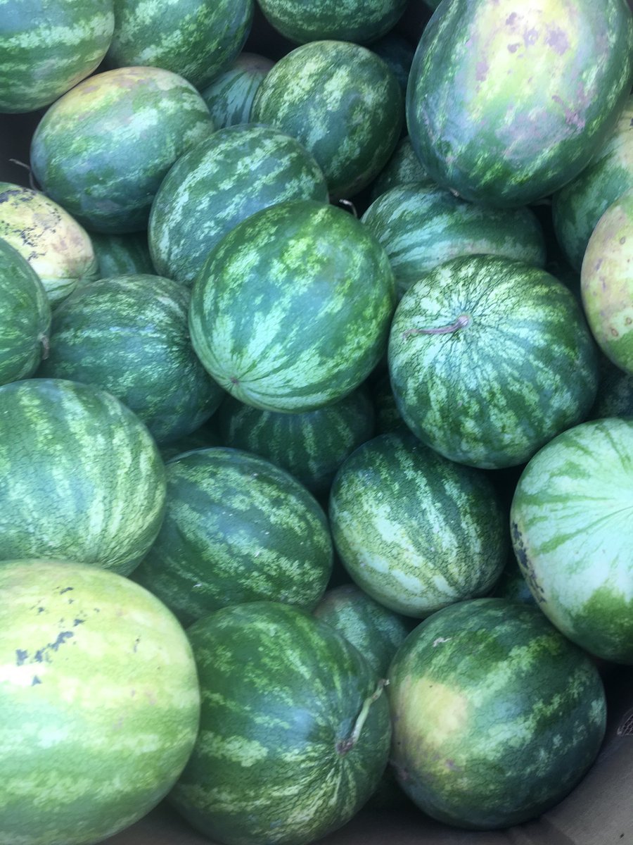 DTownFarmMarket's tweet photo. Watermelons π are mighty sweet this summer! π DTownFarmMarket has the sweetest of the season! #rootstoriver #traugers #lovegrowshere https://t.co/7Z9LJ5nCcw