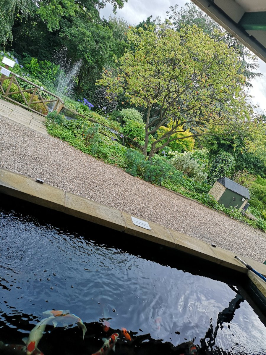 All about that Saturday vibe..