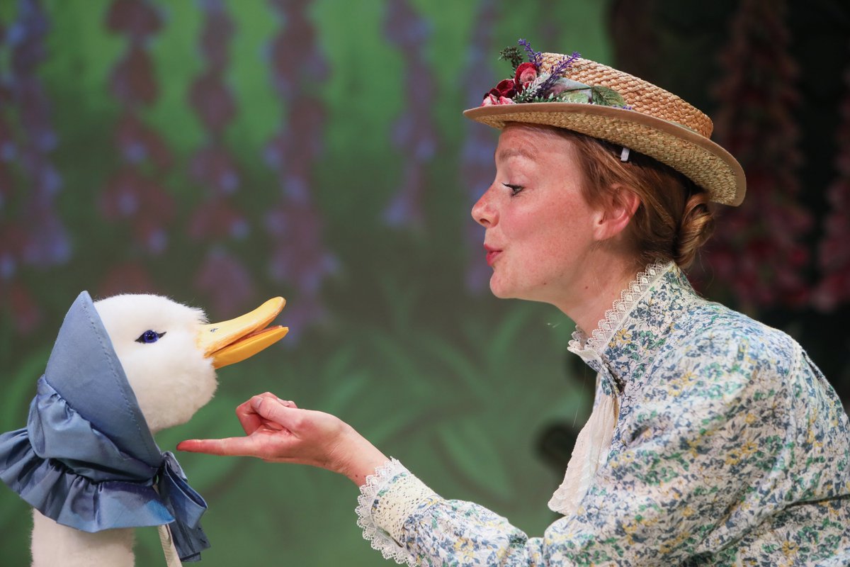 PeterRabbitLive tweet media