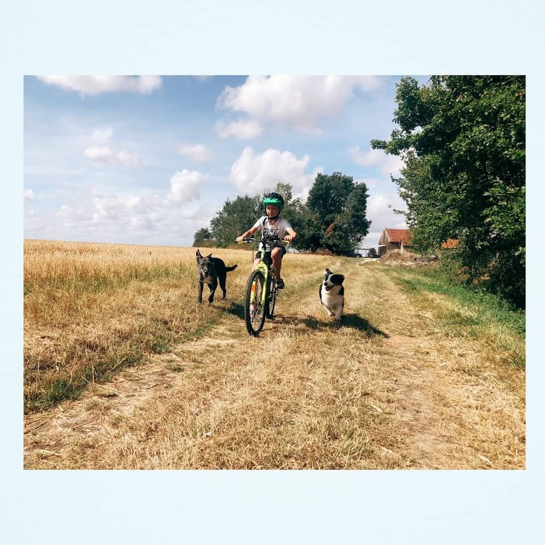 LoveDogs_fr's tweet photo. C'est la fin des vacances pour #LoveDogs... Après deux semaines dépaysantes en #Touraine et en #Auvergne, il est temps pour Nolo et Ora de prendre le chemin du retour, direction #Perpignan ! 🐶🐺
#familydogs #familytime #outdoorwithdogs #happydogslife https://t.co/ZMOBrbsd4Y