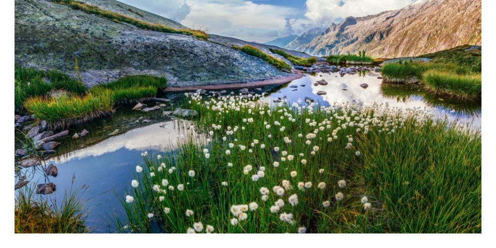 The nightmares beckon for humanity  
Travering circumstances commoners will realize  
The hallucinations of the forgotten 
Open my vibrations 
#poem  #share2steem