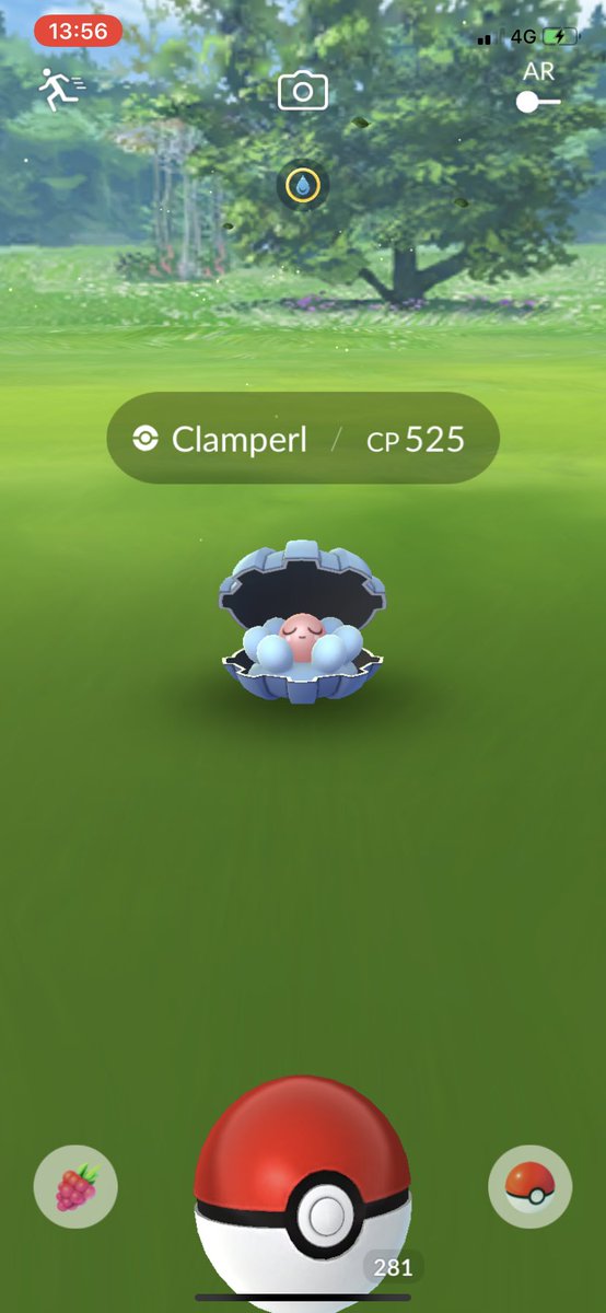 Jeroen026PoGo's tweet image. My current mission is to get that hundo Clamperl! 
Looking for 544 CP 💪

#PokemonGO #quest #clamperl