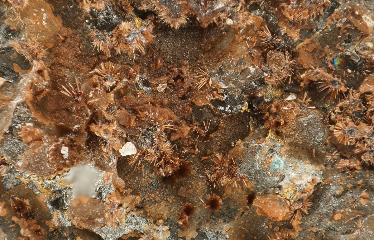 scimissionowen's tweet photo. An A-Z of #tellurium #minerals:
I is for ilirneyite. One of many new minerals found in Russia in the last decade, it has a zeolitic zemannite-like structure.
One other I mineral: ingodite (a rare Bi telluride-sulphide). 
Link: https://t.co/zcNGmLhyv6 https://t.co/getZo7oniI