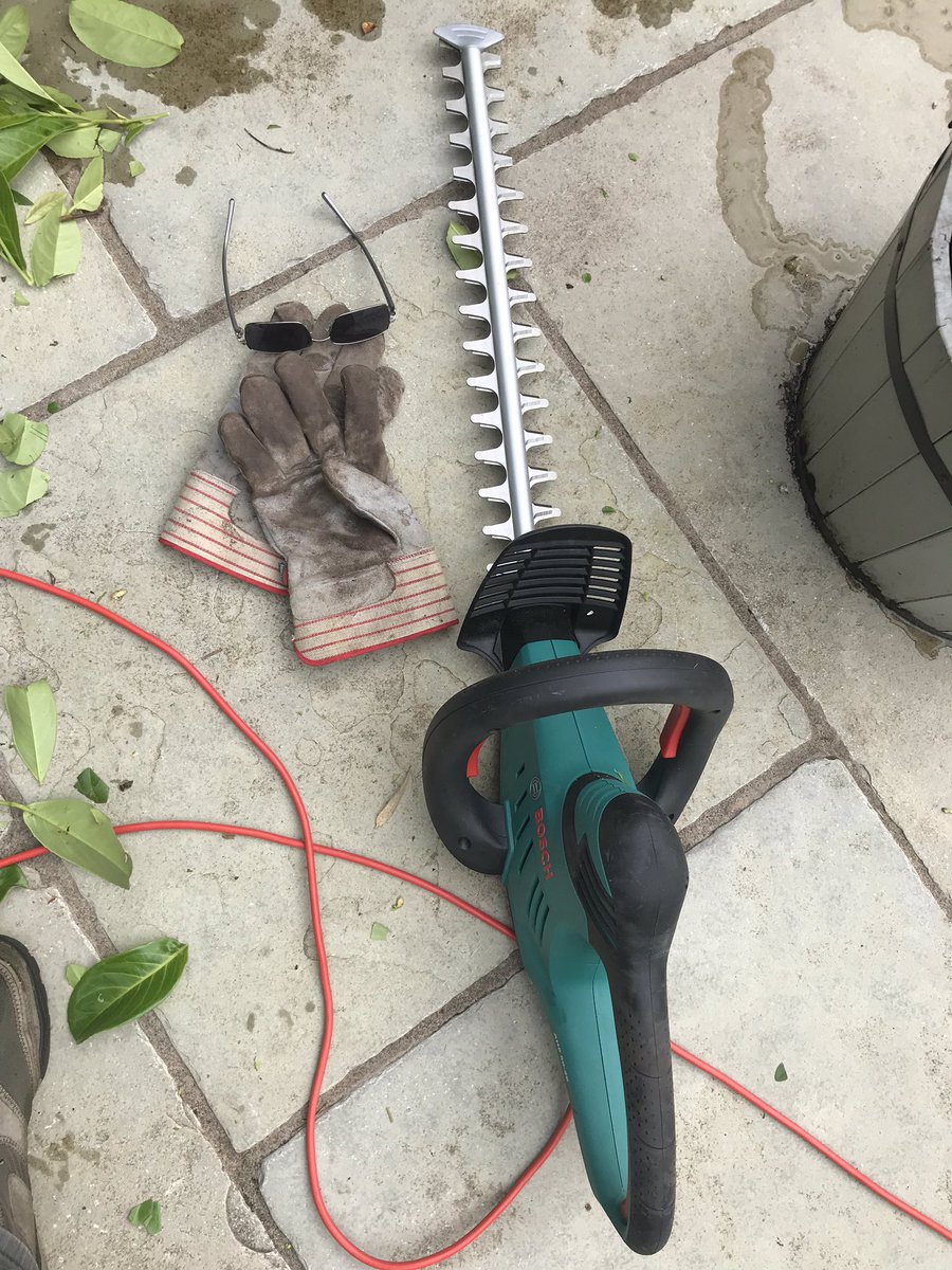 QuintinOliver's tweet photo. Hedge trimmers for bank holiday weekend - what could go wrong? #ChairGate #LawnmowerGate #PantsGate #TrimmerGate https://t.co/0lLNGZWSS5