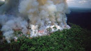 fbvpcba's tweet photo. Desde Federación de Bomberos Voluntarios de Córdoba informanos : 242 Bomberos de nuestra Federación 
@BvCordoba
 están listos para prestar colaboración en Brasil, en caso de ser requeridos para los #IncendiosEnElAmazonas https://t.co/OigQbcMJrJ