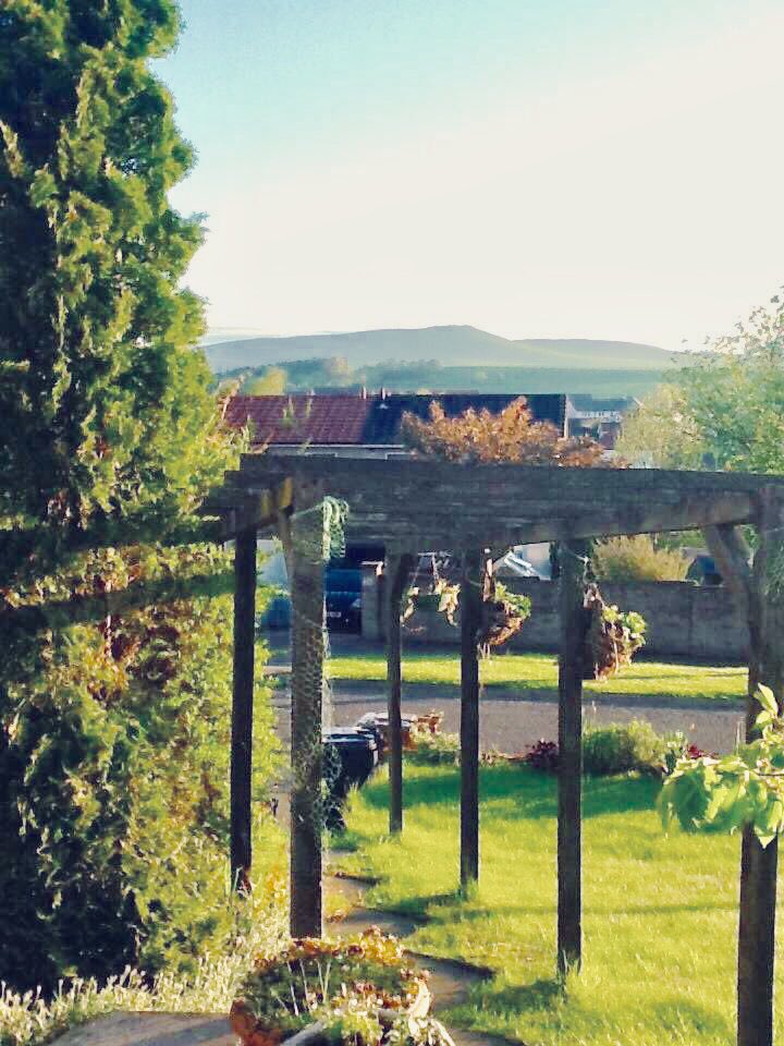 Brackens1's tweet photo. @RobLathro Enjoy ! I'm doing hard manual labour in the garden.
#before #after #ageproofing #garden https://t.co/3TDhEi6MXA